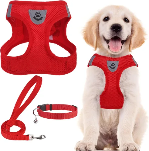 Miniatura 24 de PUPTECK - Arnés, collar y correa ajustables, sin tirones, para perros pequeños y medianos, cachorros y gatos, pechera reflectante acolchada de malla