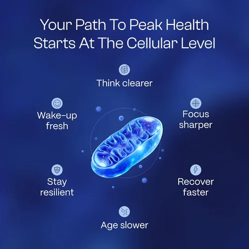 Miniatura 2 de HEALTHLETIC Gotas de azul de metileno – Solución USP de grado farmacéutico al 1% fabricada en Estados Unidos – Apoya la claridad mental, el enfoque