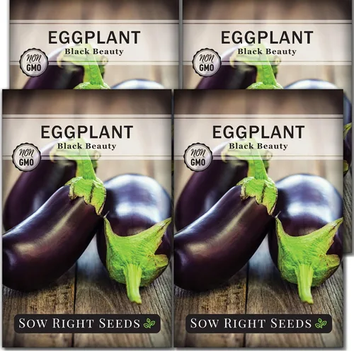 Sow Right Seeds - Semilla de berenjena Black Beauty para plantar - Paquete de reliquia sin OMG con instrucciones para plantar un huerto en el hogar