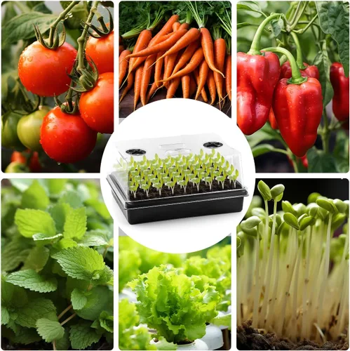 Miniatura 8 de RooTrimmer Paquete de 4 bandejas de inicio de semillas con cúpulas de humedad de 5 pulgadas de alto, kit de germinación de plantas reutilizables