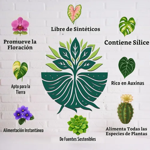 Miniatura 4 de Organic Liquid Indoor Plant Food, Houseplant, Tropical & All-Purpose Indoor Plant Fertilizer, Organic Liquid Fertilizer 5-5-5 with Sea Kelp 1 Gallon