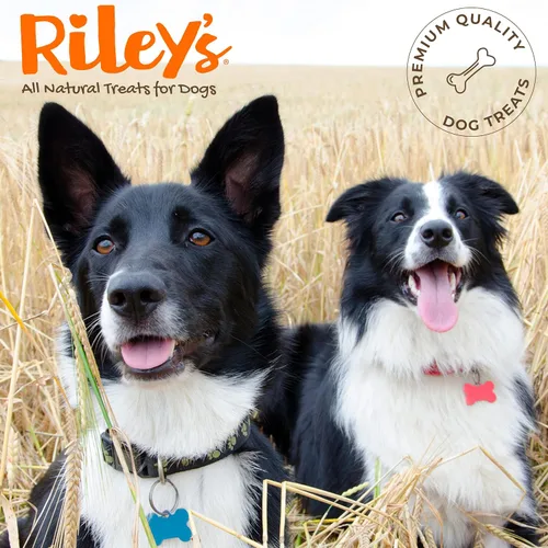 Miniatura 8 de Riley's Steer Bully Sticks para perros pequeños a medianos – Premio para perros de un solo ingrediente, fácilmente digeribles, 100% palitos de carne