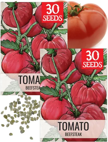 Miniatura 15 de Seed Needs Semillas de tomate cereza negra para plantar, reliquia sin OMG y sin tratar, variedad indeterminada para plantar un huerto al aire libre