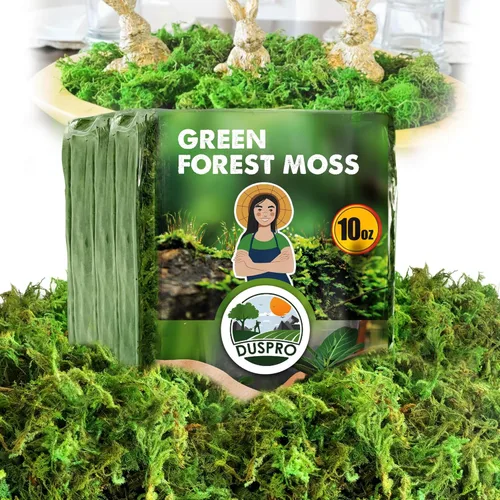 Miniatura 9 de DUSPRO Musgo Verde Mejorado para Manualidades, Musgo Real de Bosque en Plantas en Maceta, Musgos Decorativos para Centros de Mesa de Boda, Navidad