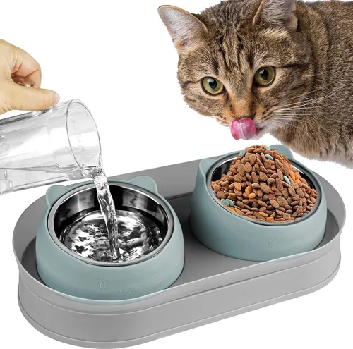 Cuencos inclinados para comida para gatos, con soporte de acero inoxidable, antivómitos, juego de cuencos dobles para comida y agua para gatos (azul