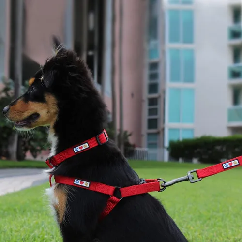 Miniatura 2 de Pawtitas Paquete económico Arnés para perro pequeño + collar para perro pequeño + correa para perro extra pequeña/pequeña de 6 pies, juego rojo