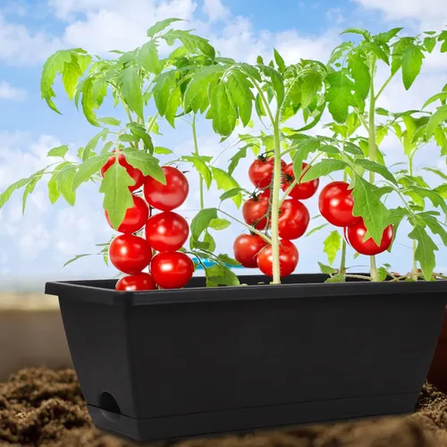 Miniatura 4 de 8 maceteros de ventana, cajas de flores para ventana de 17 pulgadas, maceteros rectangulares con agujeros de drenaje y bandejas, macetas de plástico