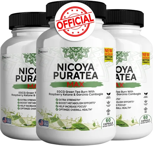 Nicoya PuraTea Max Extracto de té verde y grano de café verde para apoyo al metabolismo, impulso de energía natural, suplemento rico en