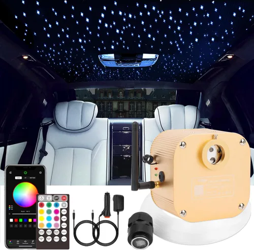 CHINLY Starlight Kit de techo parpadeante, 16 W, 550 unidades, 13.1 pies, 0.03 pulgadas, luces de estrella para coche, luz de techo de fibra óptica,