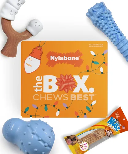 Miniatura 11 de Nylabone Caja de Regalo para Cachorros, Incluye 3 Fuertes Juguetes para Masticación de Cachorros y 1 Hueso de Golosina Natural para Cachorros