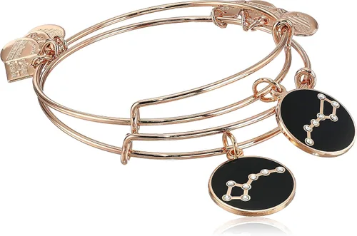 Alex and Ani Brazalete extensible de verano para mujer, dije de boca grande y pequeña, acabado brillante, 2 a 3.5 pulgadas, juego de 2