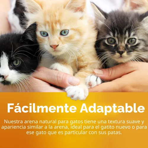 Miniatura 6 de SmartCat Arena natural para gatos, 20 libras (320 onzas, 1 paquete) – Alternativa a la arena de arcilla y pellets – Libre de productos químicos