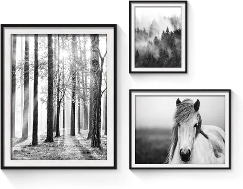 Miniatura 10 de Arte de pared enmarcado con vista rústica: 3 piezas de granja en blanco y negro, vaquero brumoso, granero, fotografía, moderno, molino de viento