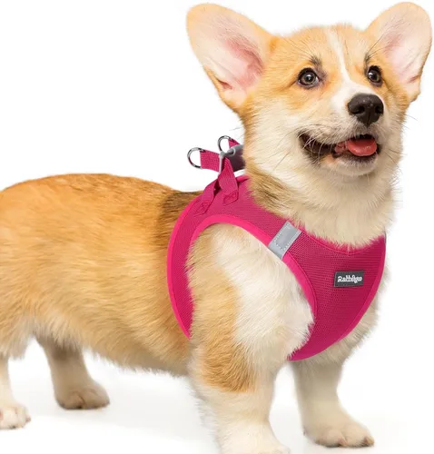 Miniatura 61 de rabbitgoo Arnés para perro pequeño, chaleco de malla suave para cachorros con hebilla de seguridad, arnés reflectante transpirable para mascotas