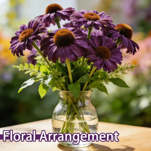 Miniatura 6 de Semillas de equinácea púrpura (Echinacea purpurea), perenne nativa resistente, paquete de 600 semillas
