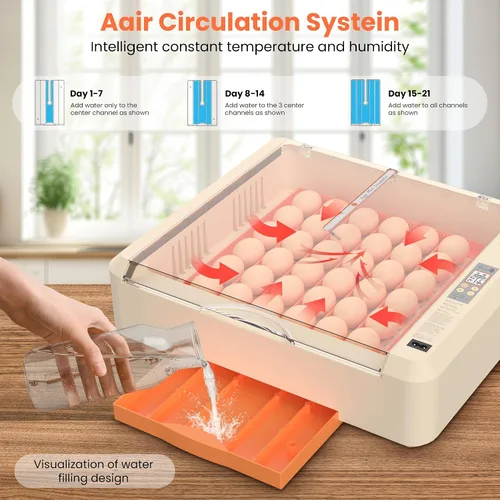 Miniatura 4 de Incubadora de huevos 36-60 con giro automático de huevos y control de humedad, incubadora de huevos de pollo ajustable con pantalla digital