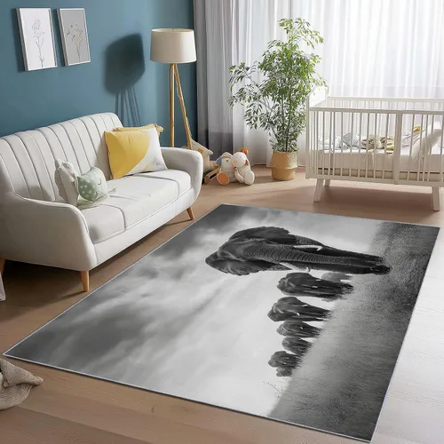 Miniatura 9 de 2 X 3 ft Small Area Rug for Bedside, Zebra Portrait Lightweight Non Slip Washable Rug with Non-Slip Backing for Front Door Entryway, Animal Throw