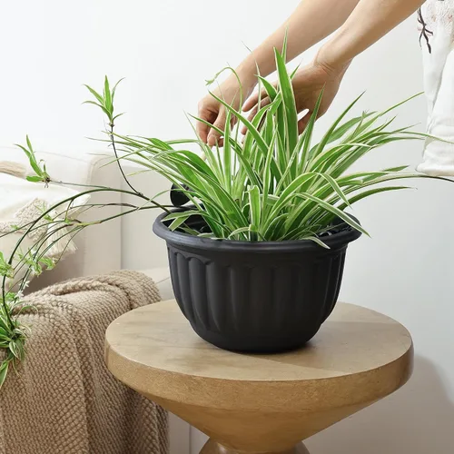 Miniatura 7 de YIKUSH Macetas colgantes de 12 pulgadas para plantas al aire libre, paquete de 2 macetas colgantes de plástico con orificio de drenaje y bandeja