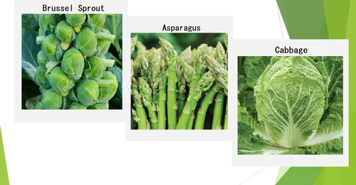 Miniatura 2 de Semillas Premium de Vegetales de Invierno para Plantación, Semillas Orgánicas, No Transgénicas, Autóctonas, 12 Variedades: Rábano, Guisante