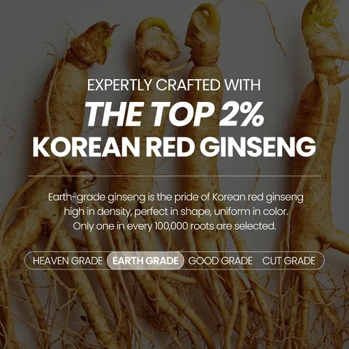 Miniatura 3 de JUNG KWAN JANG Everytime Korean Red Ginseng Extract Limited Stick – Bebida energética de raíz de ginseng panax rojo de grado terrestre – Suplementos