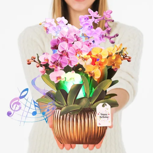 Miniatura 13 de Tarjetas de cumpleaños CUISH, tarjeta de feliz cumpleaños con luz y música, Cosmos Margarita No me Olvides, tarjeta de regalo de ramo de flores 3D