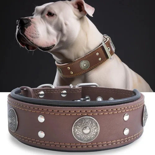 Miniatura 13 de Collar de cuero para perro, 2 pulgadas de ancho, collares de cuero genuino resistente, hecho a mano, suave y lujoso, la mejor opción llamativa