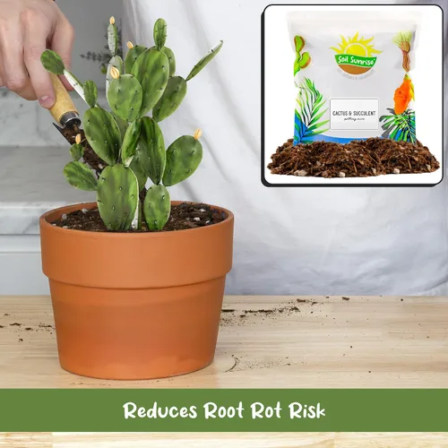 Miniatura 4 de Suelo Sunrise para Cactus y Suculentas para Macetas Mezcla Especial - Drenaje Rápido y Arenoso al Estilo del Desierto (7,57 litros)