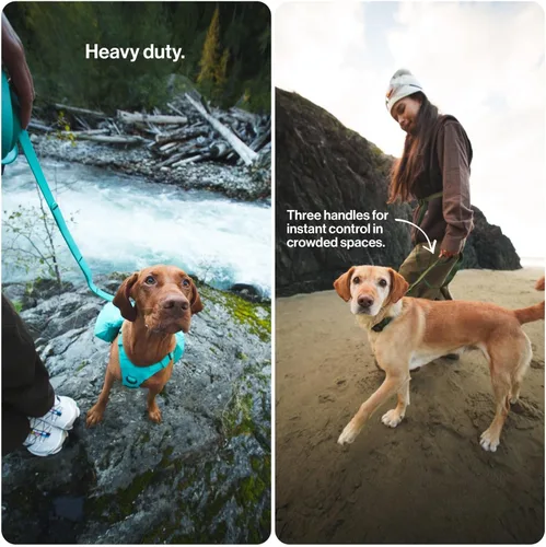 Miniatura 5 de Säker Kelp™ Correa Impermeable para Perros – Resistente, A Prueba de Olores, Correa para Perros Ajustable de 4 a 6 pies de Largo con Mosquetón