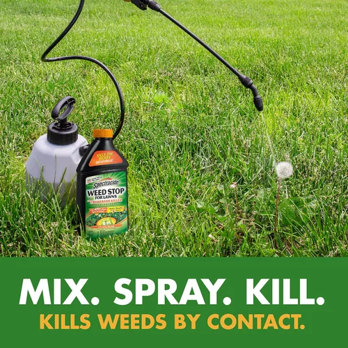 Miniatura 5 de Spectracide Weed Stop para césped + concentrado matador de pasto de cangrejo, 32 onzas, paquete de 6