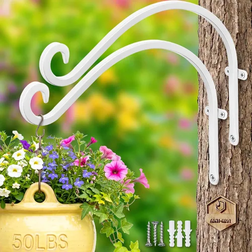 Miniatura 14 de Qiang Ni Colgador de plantas de alta resistencia, soporte de metal para plantas de montaje en pared de 16 pulgadas, 80 libras, para interiores