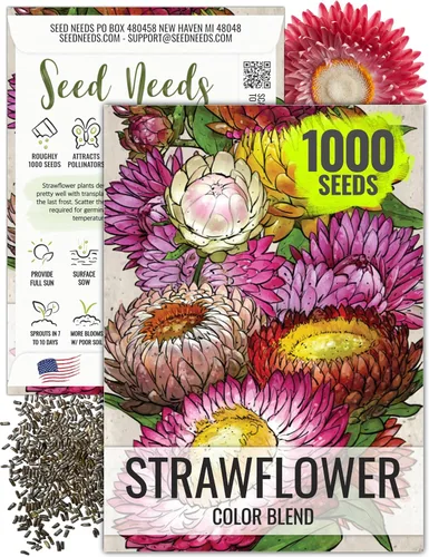 Miniatura 8 de Seed Needs Semillas de fresa para plantar, semillas anuales de flores tradicionales y polinizadas abiertas. Cultiva una colorida mezcla de flores