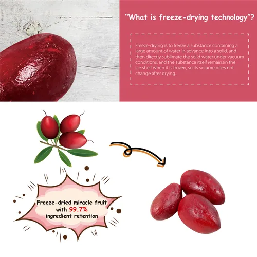 Miniatura 2 de ¡Ohh! Berry Miracle Berry [las 6 de ellas], las bayas milagrosas son aperitivos de friut 100% naturales y liofilizados para volverse agrias