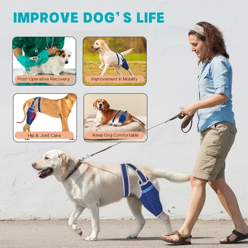Miniatura 6 de Rodillera para perro para pierna trasera desgarrada del ligamento cruzado anterior, soporte ajustable para pierna trasera con 2 estabilizadores, Azul