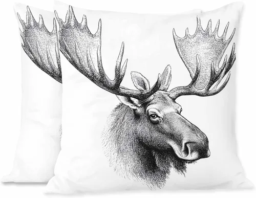 Miniatura 26 de Juego de 2 fundas de almohada decorativas con diseño de mapa del mundo, geografía terrestre y marítima con etiquetado, para el hogar, sofá, silla