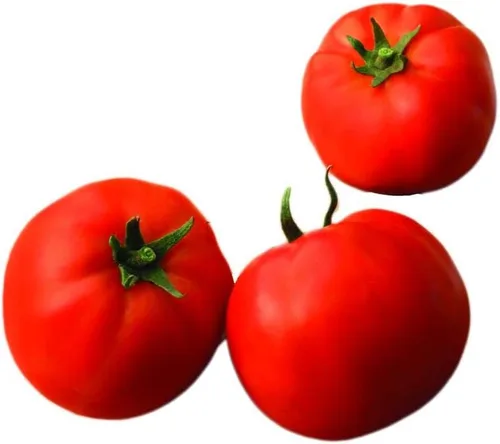 Miniatura 3 de Park Seed Variedad de semillas de tomate, plantación de verduras, fácil de cultivar, sin OMG, perfectas para cosechar, híbrido Celebrity Plus