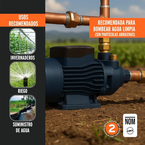 Miniatura 6 de Bomba periférica agua eléctrica 3/4 HP