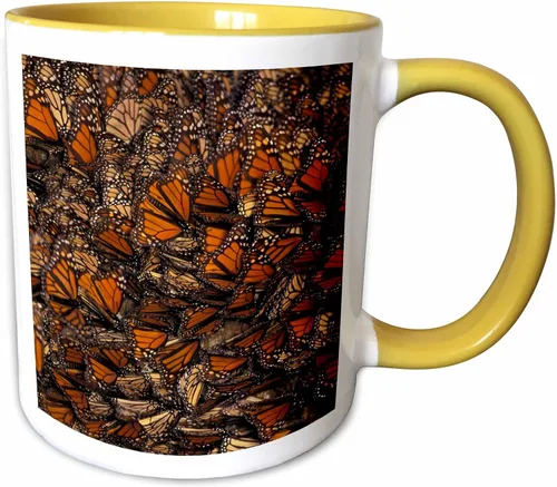 Miniatura 11 de 3dRose Taza de café, tamaño - 15oz - México. Mariposa monarca (Danaus plexippus) - SA13 GJE0047 - Gavriel Jecan Butterflies - divertido regalo
