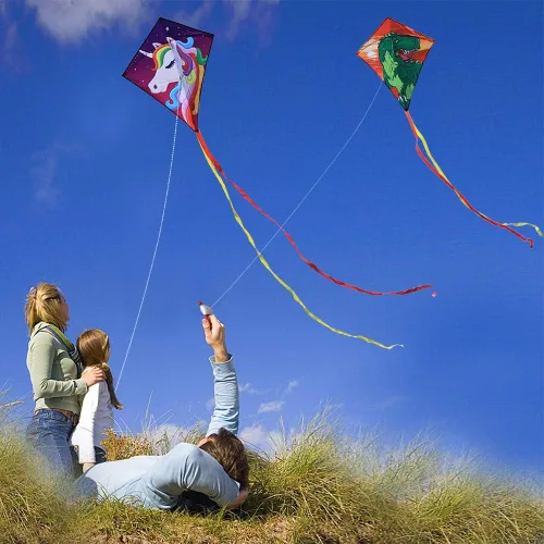 Miniatura 3 de HONBO Cometa de bricolaje para niños, cometa para principiantes para niños, maravillosa cometa Eddy para 3 años en adelante, con colas largas de 0.8