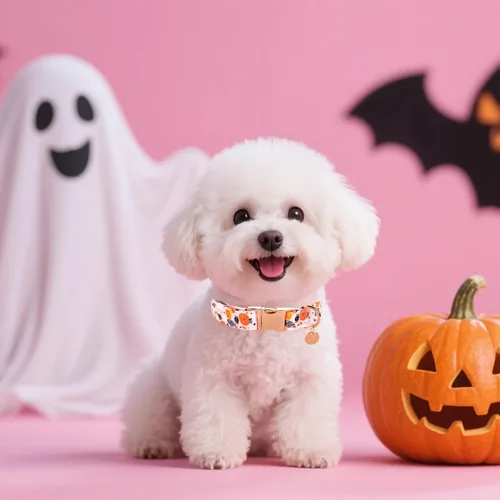 Miniatura 4 de Collar de Perro de Halloween con Hebilla de Metal Collar de Perro de Calabaza de Regalo para Perros Pequeños Medianos Grandes Niñas o Niños Collares
