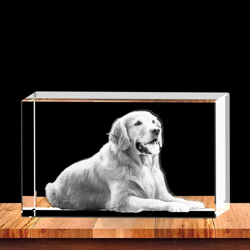 Miniatura 4 de Foto de cristal 3D personalizada grabada dentro del cristal con tu propia imagen, regalo de cubo de fotos de vidrio 3D, regalo único para el día