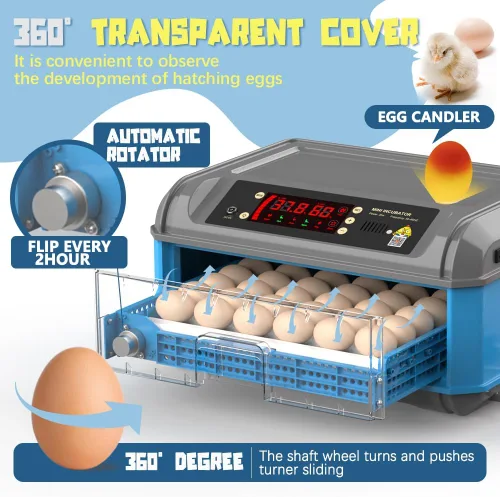 Miniatura 4 de Incubadora automática de huevos de gallina 16-24 e incubadoras de pavo para incubar huevos Incubadora de huevos de aves de corral de granja con giro