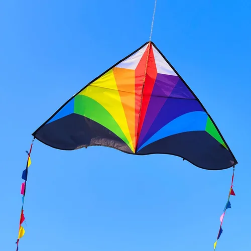 Miniatura 3 de Delta Kite para niños y adultos, fácil de volar, cometa de playa grande de una sola línea con mango de cuerda de 300 pies incluido, perfecta