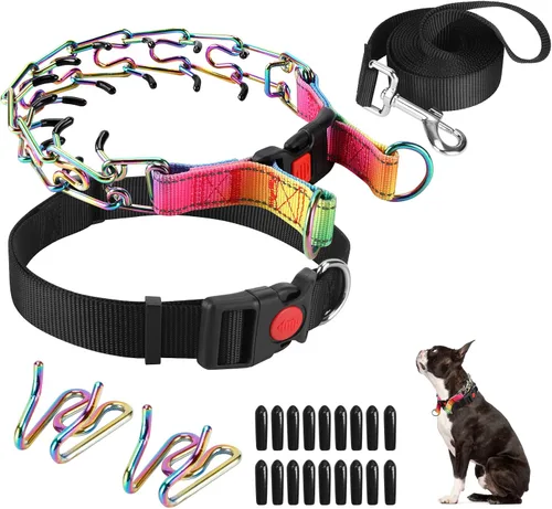 Miniatura 11 de Collar de entrenamiento de puntas con puntas cómodas y hebilla de cierre rápido – Collar de pellizco para perro con cubierta de nailon