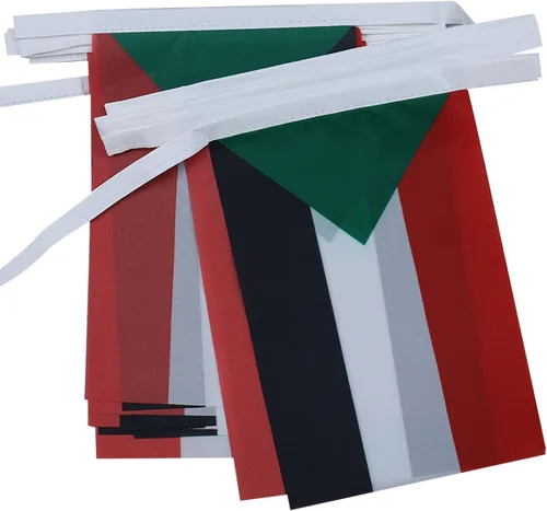 Miniatura 42 de AZ FLAG Señal marítima internacional 42.7 ft BUNTING Flag 40 banderas 9'' x 6'' - Banderas de cuerda del alfabeto náutico 5.9 x 8.3 in