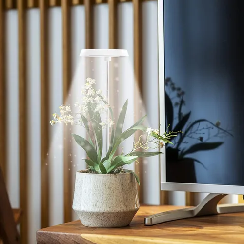 Miniatura 7 de GYTF Luz de cultivo de plantas Halo, lámpara LED blanca de 6000 K de espectro completo para plantas de interior, suculentas, mini bonsái, plantas
