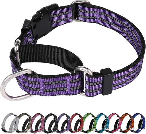 Miniatura 27 de Martingale - Collar para perro, collar reflectante ajustable de nailon con hebilla de liberación rápida (rosa intenso, talla L)