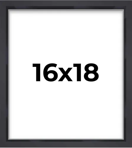 Miniatura 106 de Marco contemporáneo de caja de sombra negra de 14 x 25 pulgadas, profundidad de espacio utilizable, tamaño interior 14 x 25 o 25 x 14 pulgadas