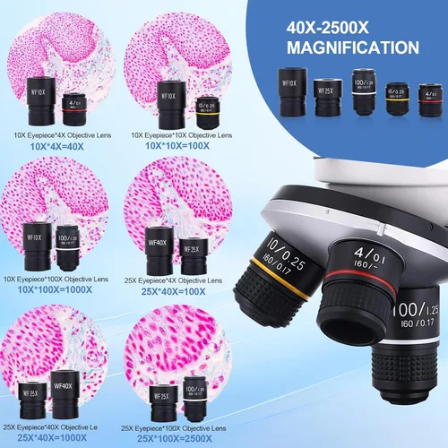 Miniatura 2 de Microscopio para Adultos y Niños, Microscopio Compuesto de Alta Potencia 40X-2000X para Estudiantes, Laboratorio Escolar y Educación en Casa, Blanco