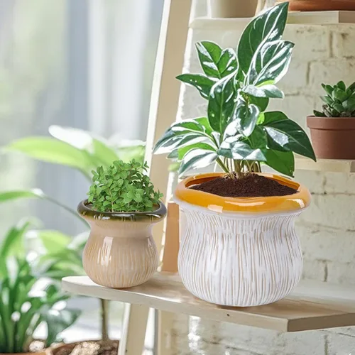 Miniatura 6 de Paquete de 2 macetas de cerámica con orificio de drenaje, macetas texturizadas de dos tonos para plantas de interior y exterior, pequeñas macetas