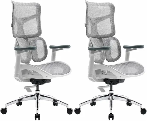 Miniatura 14 de SIHOO Doro S300 Silla Ergonómica de Oficina, Silla de Computadora, Silla Gaming con Soporte Lumbar Dinámico Doble, Reposabrazos Coordinados 6D